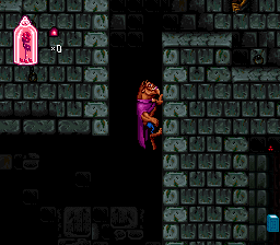Disney's Beauty and the Beast (SNES) screenshot: The Beast can scale certain types of walls