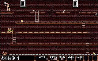 Dark Castle (Amiga) screenshot: Shield 1