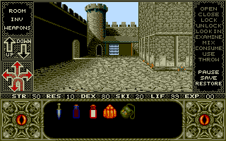 Elvira (Amiga) screenshot: Castle courtyard