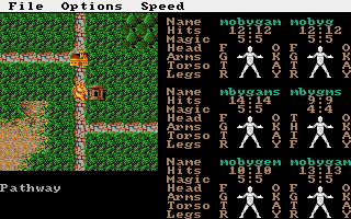 Phantasie III: The Wrath of Nikademus (Amiga) screenshot: Happy strolling on the brick road