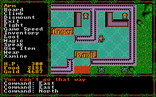 Questron II (Amiga) screenshot: Bank and armor shop