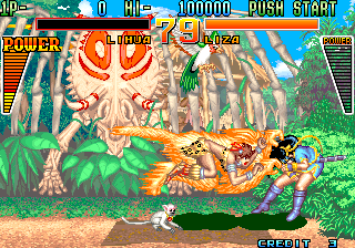 Global Champion (Arcade) screenshot: Lihua vs Liza match