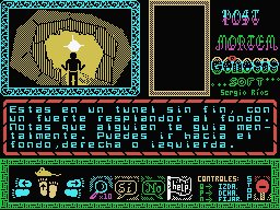 Post Mortem (MSX) screenshot: "You are in an endless tunnel..."