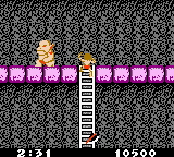 Ghosts 'N Goblins (Game Boy Color) screenshot: There are loads of ladders to climb in this level