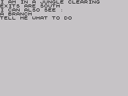 Adventure B (ZX Spectrum) screenshot: Jungle is massive
