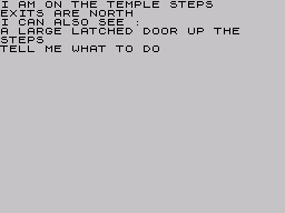 Adventure B (ZX Spectrum) screenshot: Temple steps now