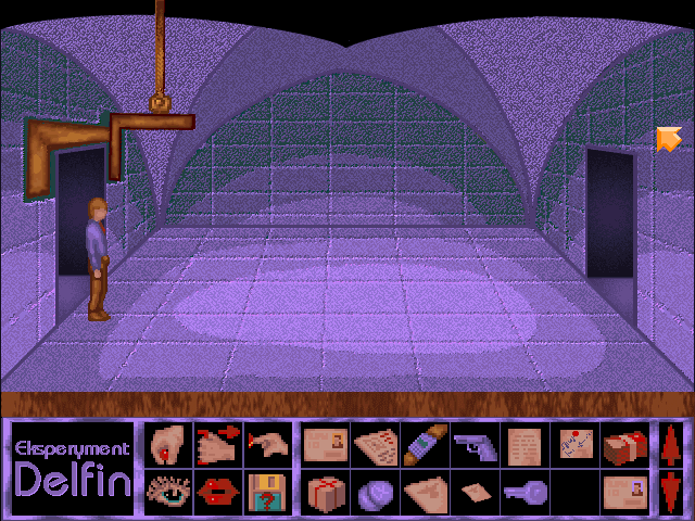 Eksperyment Delfin (DOS) screenshot: Passage
