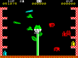 Pssst (ZX Spectrum) screenshot: The blossom of the Sunflower.
