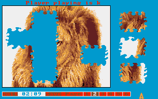 Jigsaw Puzzlemania (Amiga) screenshot: A lion