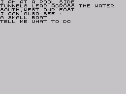 Adventure B (ZX Spectrum) screenshot: See you by the pool