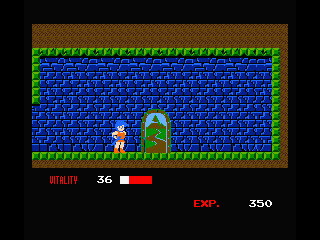 Dragon Buster (MSX) screenshot: a door appears