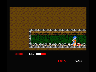Dragon Buster (MSX) screenshot: It's seems save here...