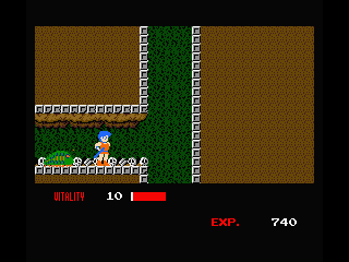 Dragon Buster (MSX) screenshot: A bug behind you!