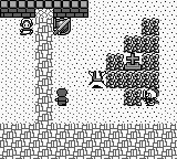 Dragon Warrior I & II (Game Boy Color) screenshot: Dragon Warrior I town on GB