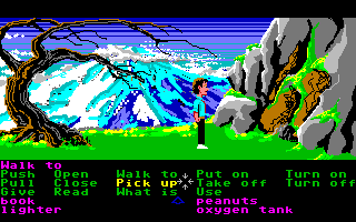 Zak McKracken and the Alien Mindbenders (Amiga) screenshot: Looking around the wilderness.
