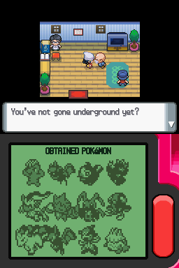 Pokémon Pearl Version (Nintendo DS) screenshot: Obtained Pokemon