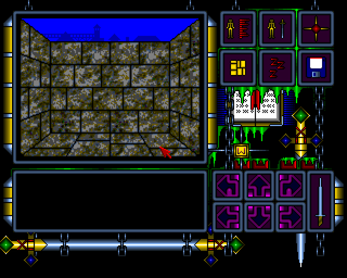 Dreenshar: Dzieło Magów (Amiga) screenshot: Dead end