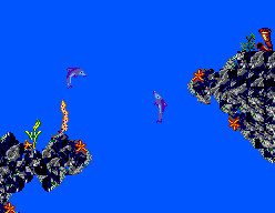 Ecco: The Tides of Time (SEGA Master System) screenshot: About to do a charge swim.