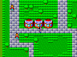 Phantasy Star (SEGA Master System) screenshot: The towns look pretty much alike. You decide to go shopping