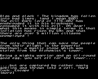 Dungeons, Amethysts, Alchemists 'n' Everythin' (Amiga) screenshot: Game start