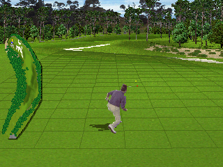 PGA Tour 96 (PlayStation) screenshot: Here a player celebrates making a long put
