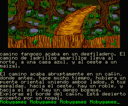 The Wizard of Oz (MSX) screenshot: Canyon