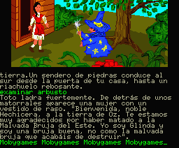 The Wizard of Oz (MSX) screenshot: Glinda