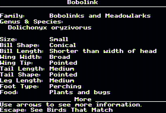 Backyard Birds (Apple II) screenshot: Info about the bobolink