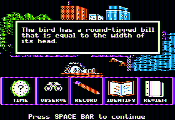 Backyard Birds (Apple II) screenshot: Observing bill