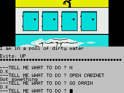 Sorcerer of Claymorgue Castle (ZX Spectrum) screenshot: Down the drain