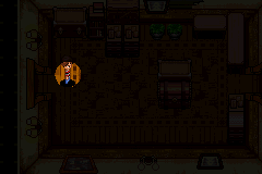 Monster House (Game Boy Advance) screenshot: Can't see in here without a flashlight