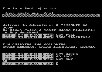 Pyramid of Doom (Atari 8-bit) screenshot: First I'll check out this pool of water before heading into the desert.