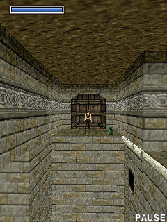 Tomb Raider: Underworld (J2ME) screenshot: A far off camera perspective