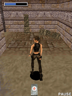 Tomb Raider: Underworld (J2ME) screenshot: A health pack