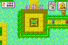 Turbo Turtle Adventure (Game Boy Advance) screenshot: Here's where we start. I need to find the keys to the doors to the right.