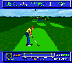 PGA Tour Golf (SNES) screenshot: At the tee