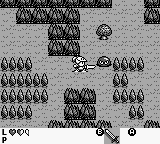 Rolan's Curse (Game Boy) screenshot: A forest full of monsters
