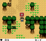 Survival Kids (Game Boy Color) screenshot: That bee-sting hurts really!