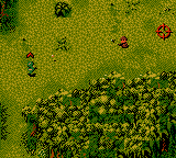 Cannon Fodder (Game Boy Color) screenshot: When your partner has passed away you must finished the mission alone.