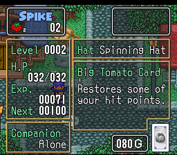 The Twisted Tales of Spike McFang (SNES) screenshot: Status screen