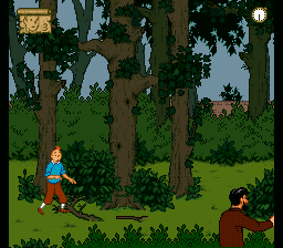 The Adventures of Tintin: Prisoners of the Sun (SNES) screenshot: Pick up this little branch, you will need it later.