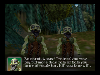 Aidyn Chronicles: The First Mage (Nintendo 64) screenshot: They give us a warning and after we leave they consider us dead.