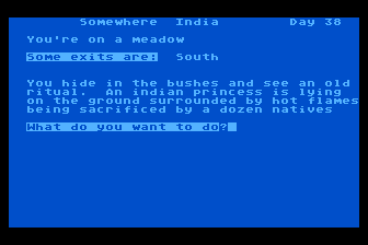 Around the World Adventure (Atari 8-bit) screenshot: An Indian Princess