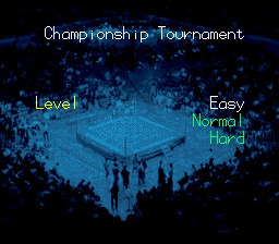 Natsume Championship Wrestling (SNES) screenshot: Choose difficulty in Championship Tournament