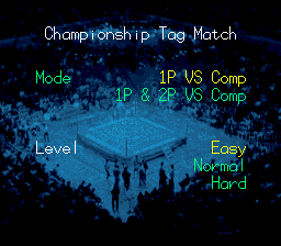 Natsume Championship Wrestling (SNES) screenshot: 2 Player Co-op in Championship Tag Match