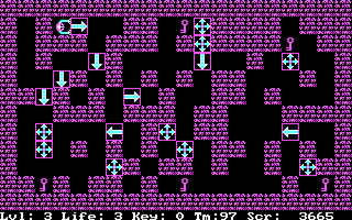 Wizard's Doom (DOS) screenshot: Level 3