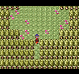 Super Chinese World 3 (SNES) screenshot: Entering a forest.