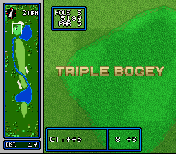 Hole in One (SNES) screenshot: This is a pretty accurate representation of my golfing ability...
