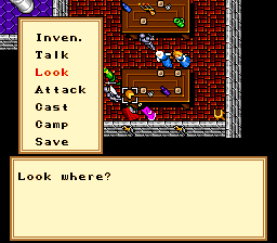 Ultima VI: The False Prophet (SNES) screenshot: You can look at objects