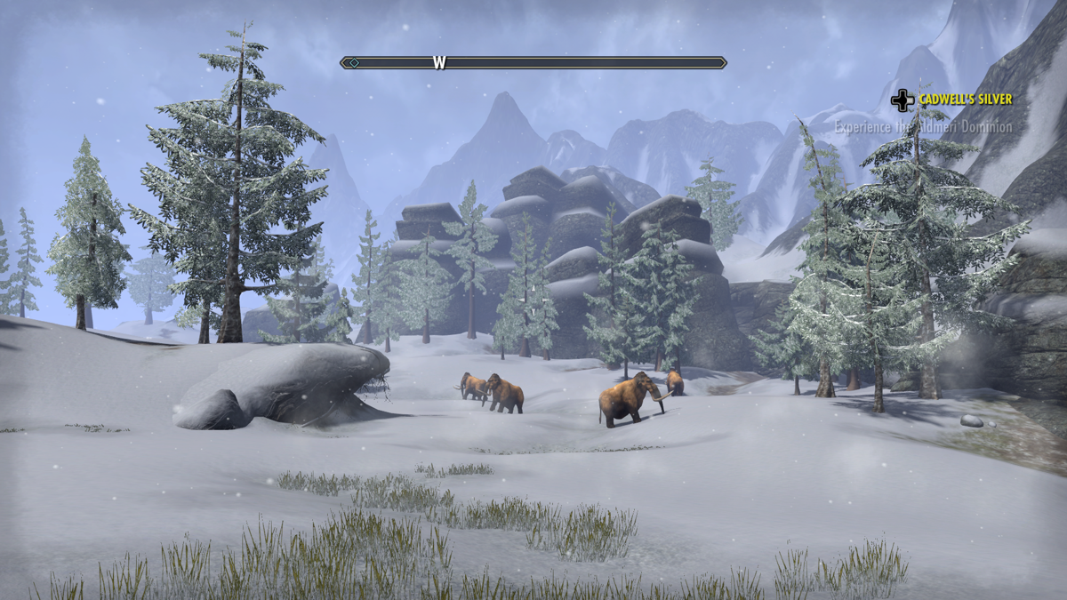 The Elder Scrolls Online: Tamriel Unlimited (Xbox One) screenshot: The snowy landscape of northern Cyrodiil.
